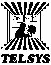 Telsys banner 4
