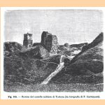 Rovine del castello militare di Tortona